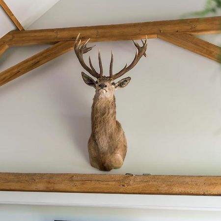 Hoeve De Zuidhoek Brugge Bagian luar foto
